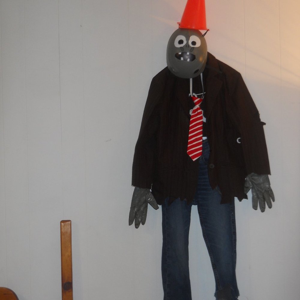 Home Made Plants Vs. Zombies Conehead Zombie Costu